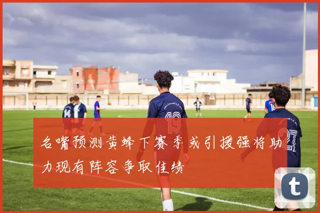 名嘴预测黄蜂下赛季或引援强将助力现有阵容争取佳绩