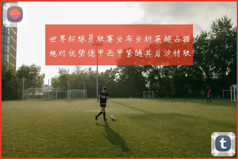 世界杯球员联赛分布分析英超占据绝对优势德甲西甲紧随其后沙特联排名第六
